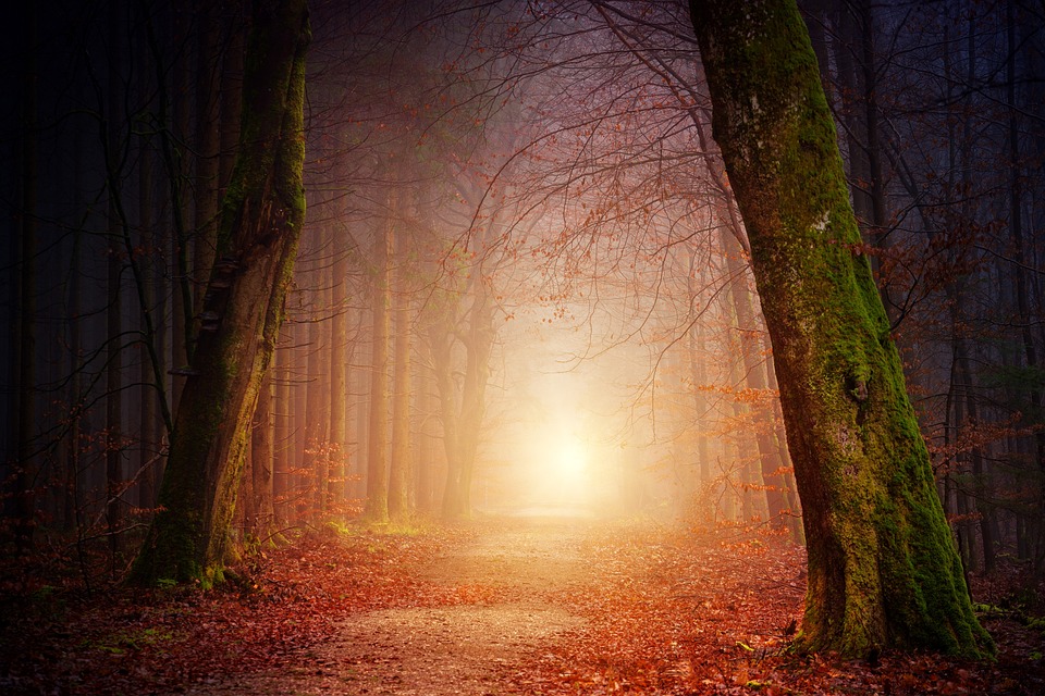 Understanding dreams about losing control